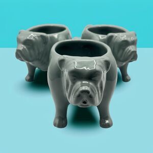 Fishs Eddy NYC Ceramic Grey English Bulldog Mug Planter Vase 10oz (Set Of 3)